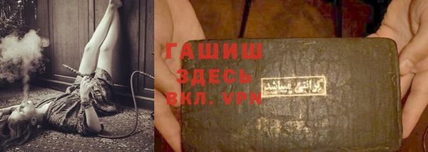 индика Елабуга
