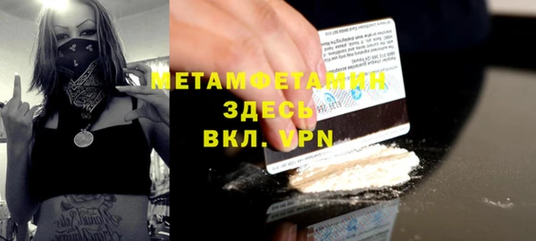 индика Елабуга