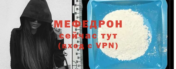 индика Елабуга