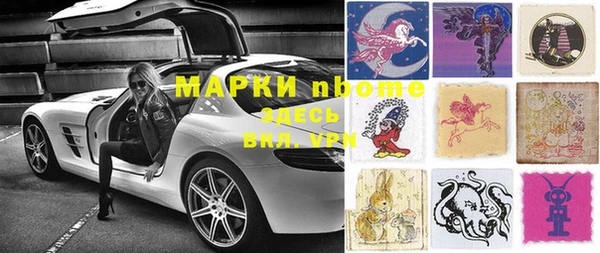 индика Елабуга