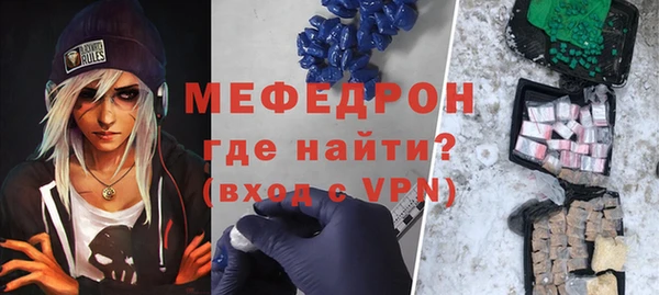 индика Елабуга