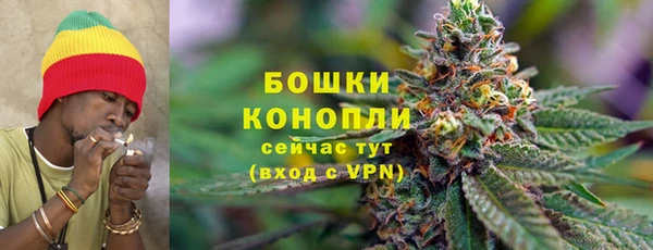 индика Елабуга