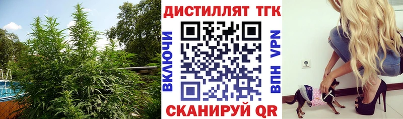 Купить Донецк Дистиллят ТГК концентрат